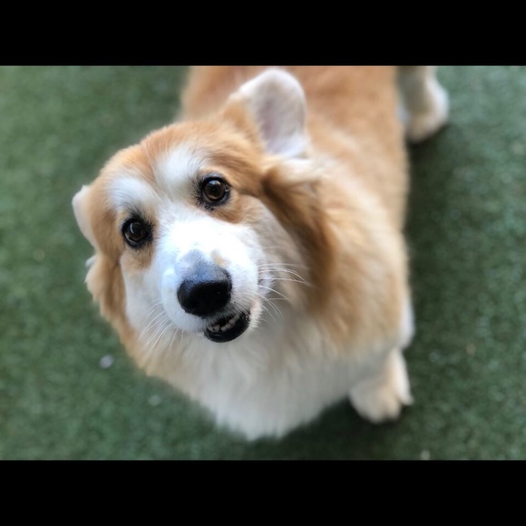 Meet your Posher, KP - Picture 4 of 4